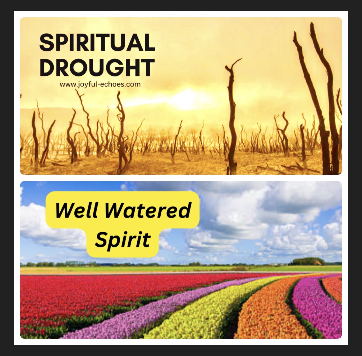 Nourishing the Garden of the Soul – Joyful-Echoes